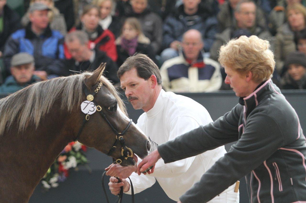 Weltevreden's Santiago (2011)