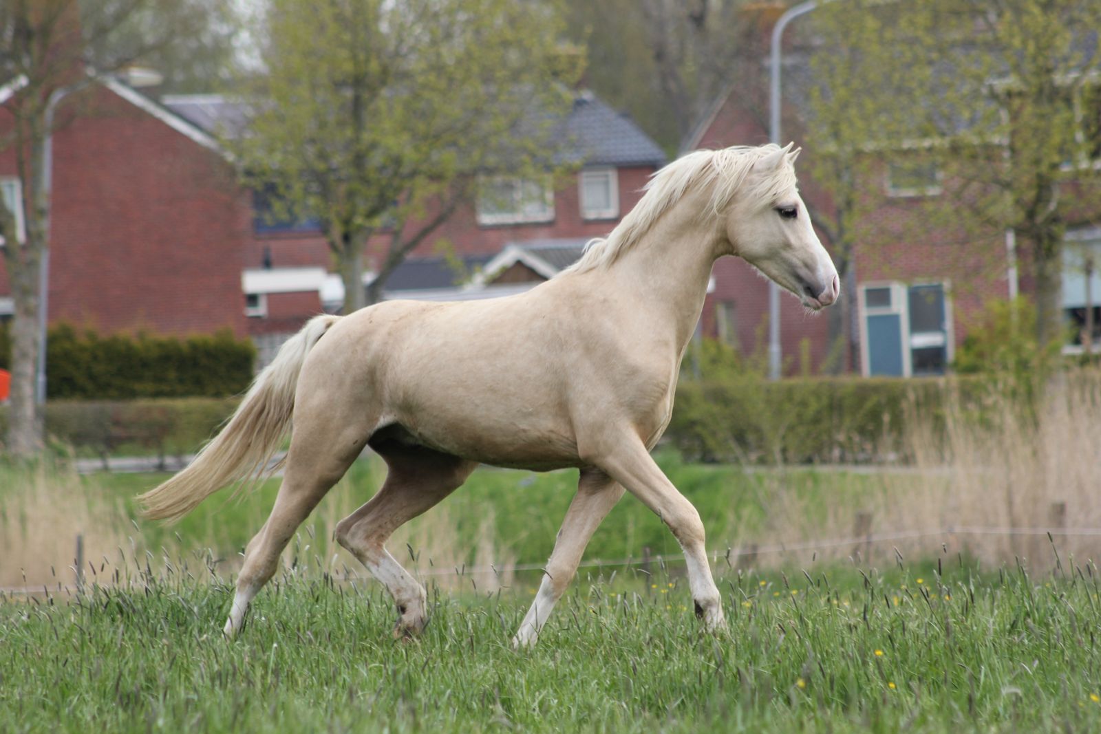 Als 2-jarige op de klei